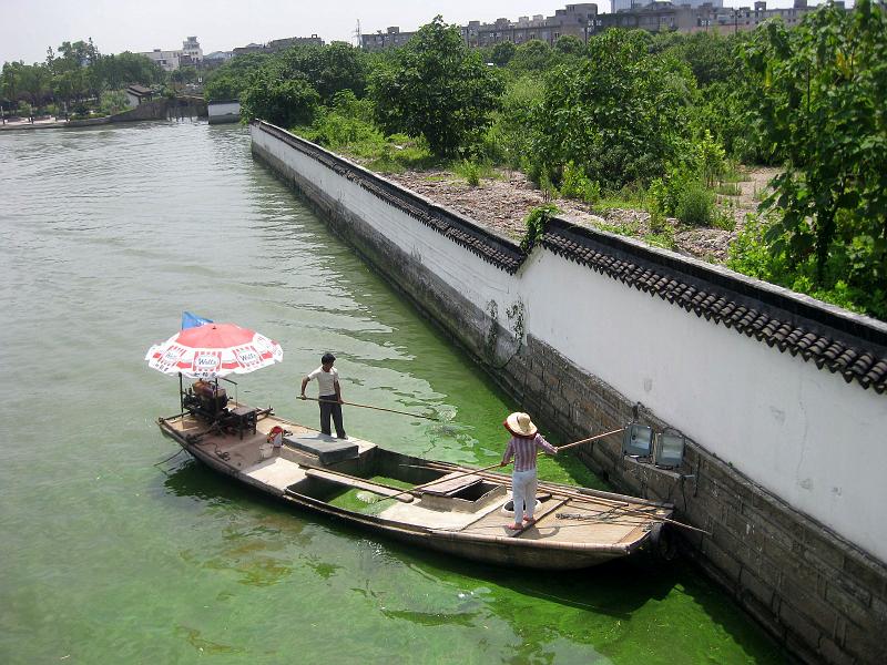 Skimming Algae in Suzhou.JPG